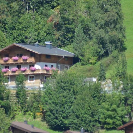 Ferienhaus Rieder Wald im Pinzgau Exterior foto