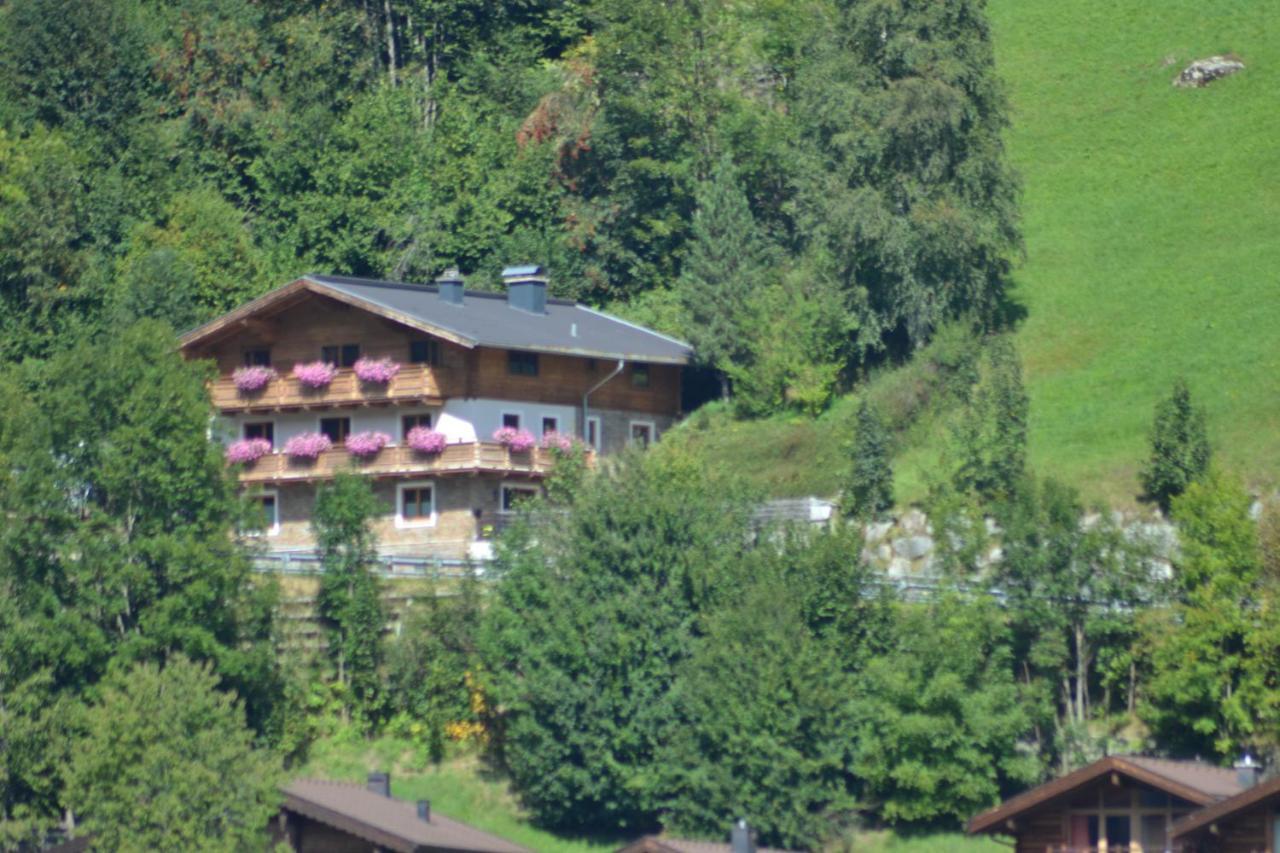 Ferienhaus Rieder Wald im Pinzgau Exterior foto
